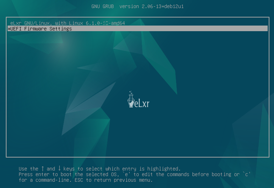 ../../_images/select-uefi-firmware-settings-on-boot.png